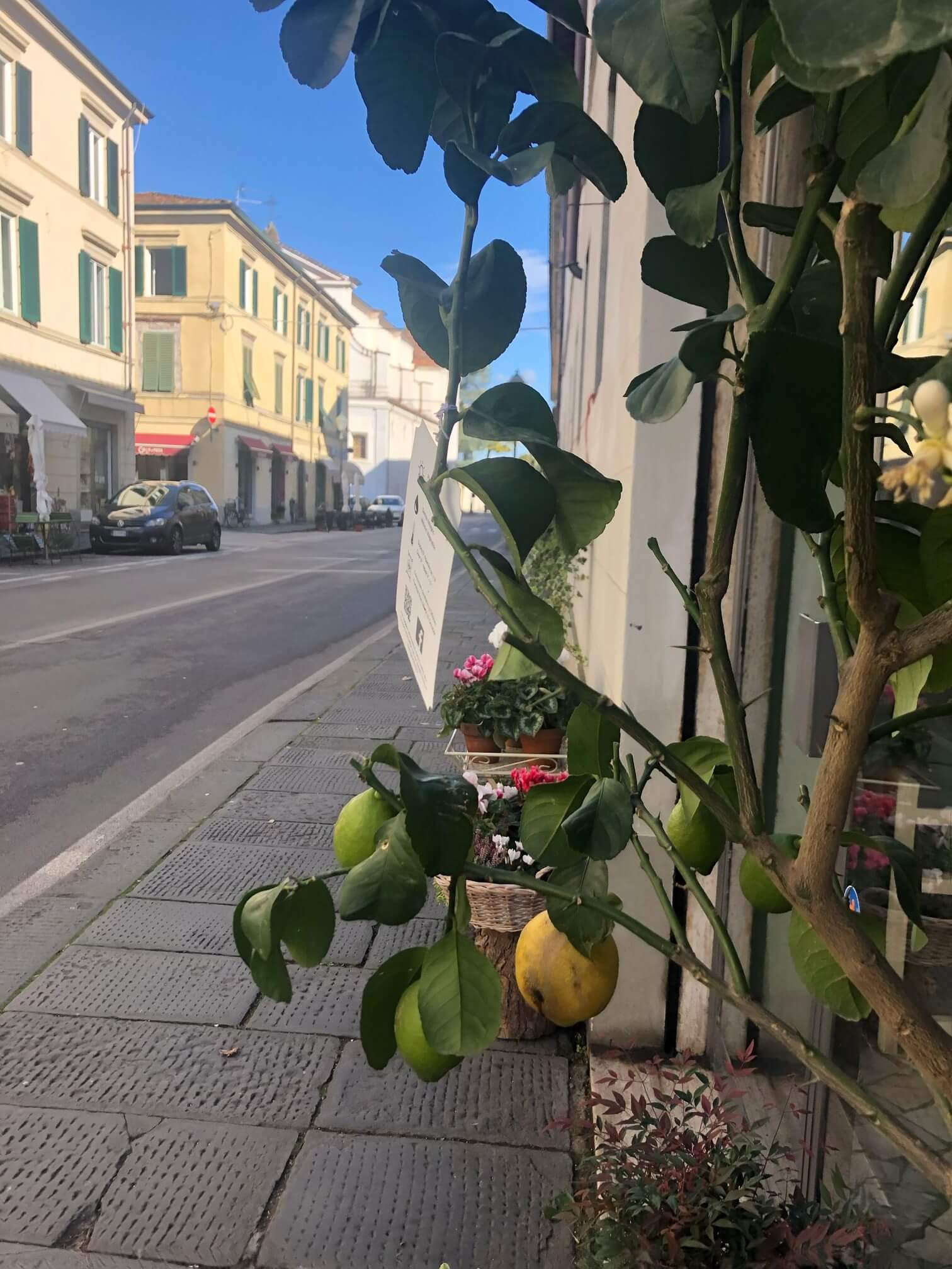 street tour of lucca