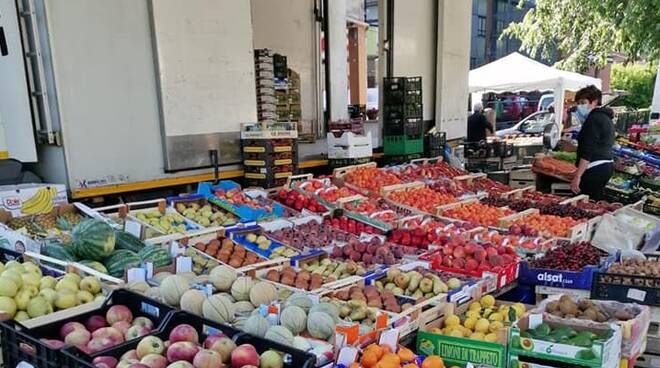 fruit market in lucca