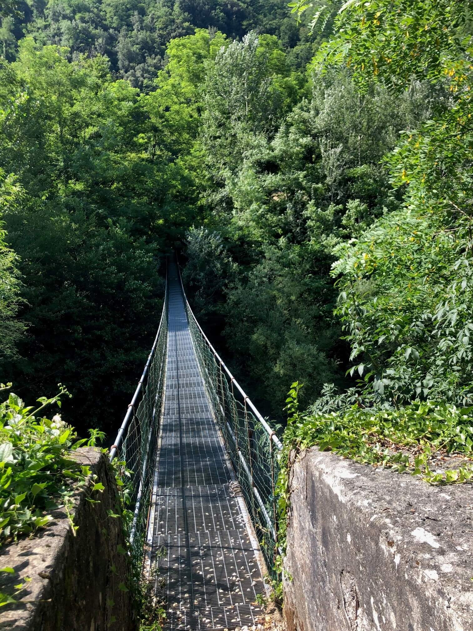 bridge by river