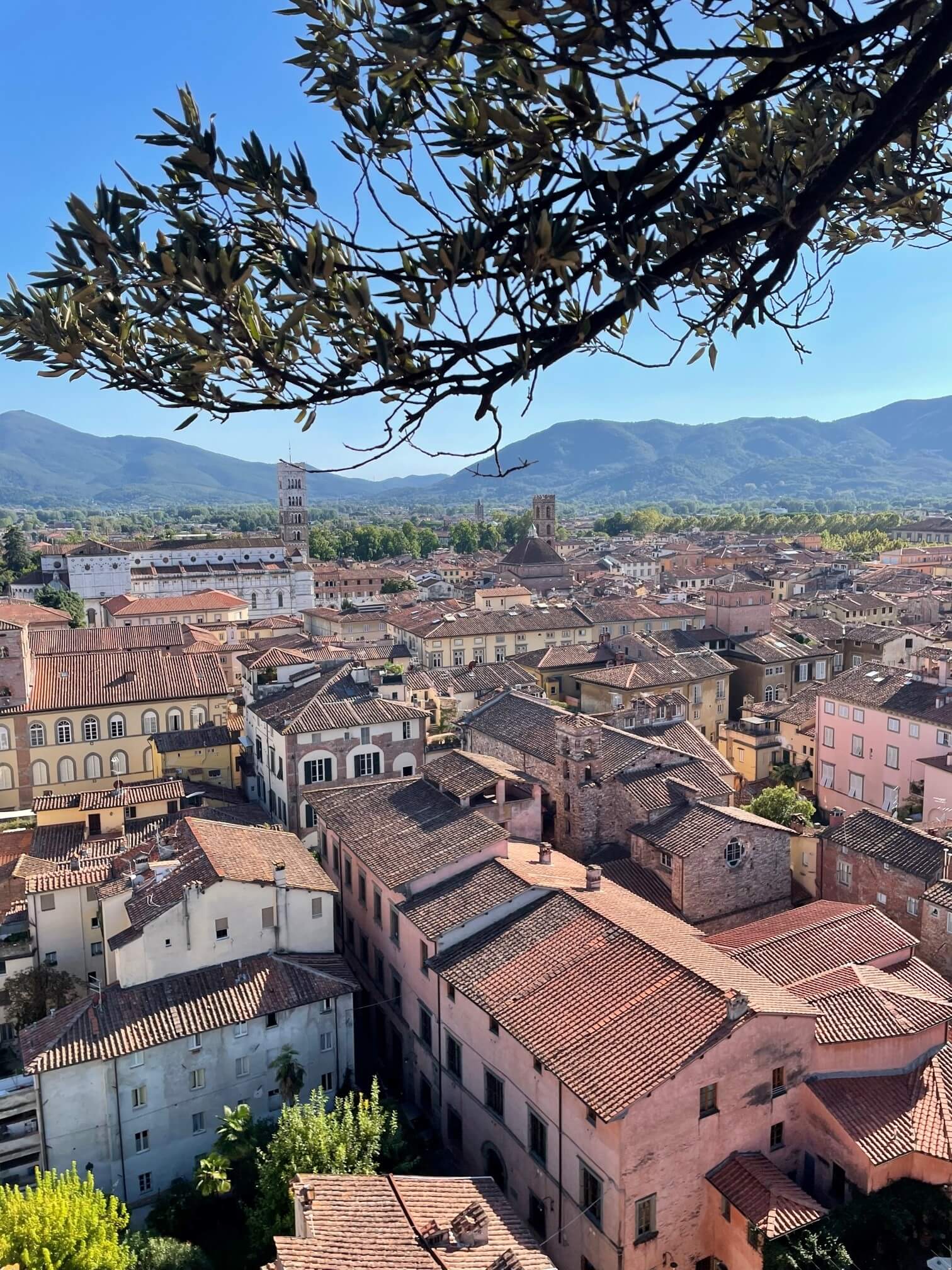 view of torre guinini