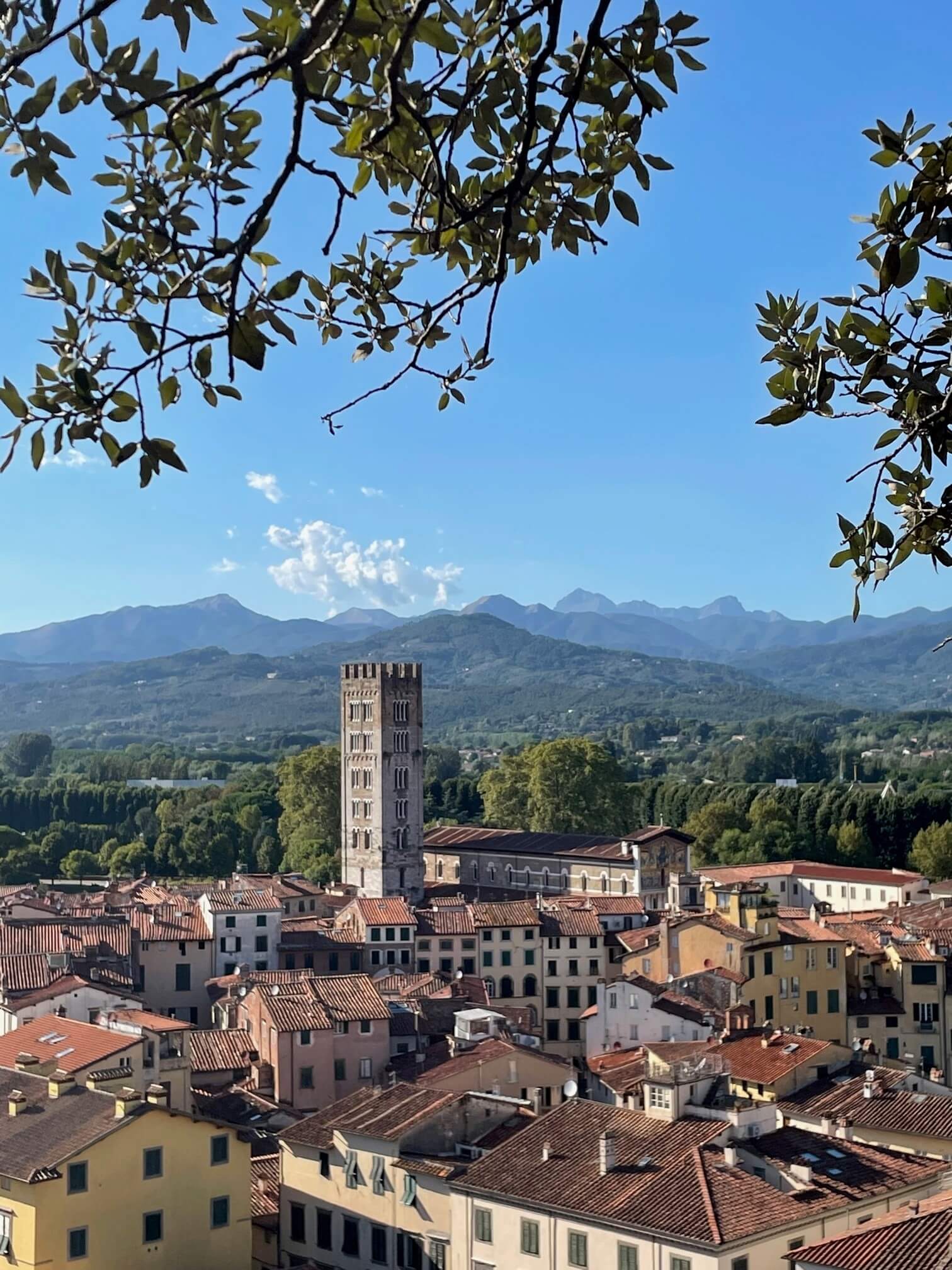 torre guinini view