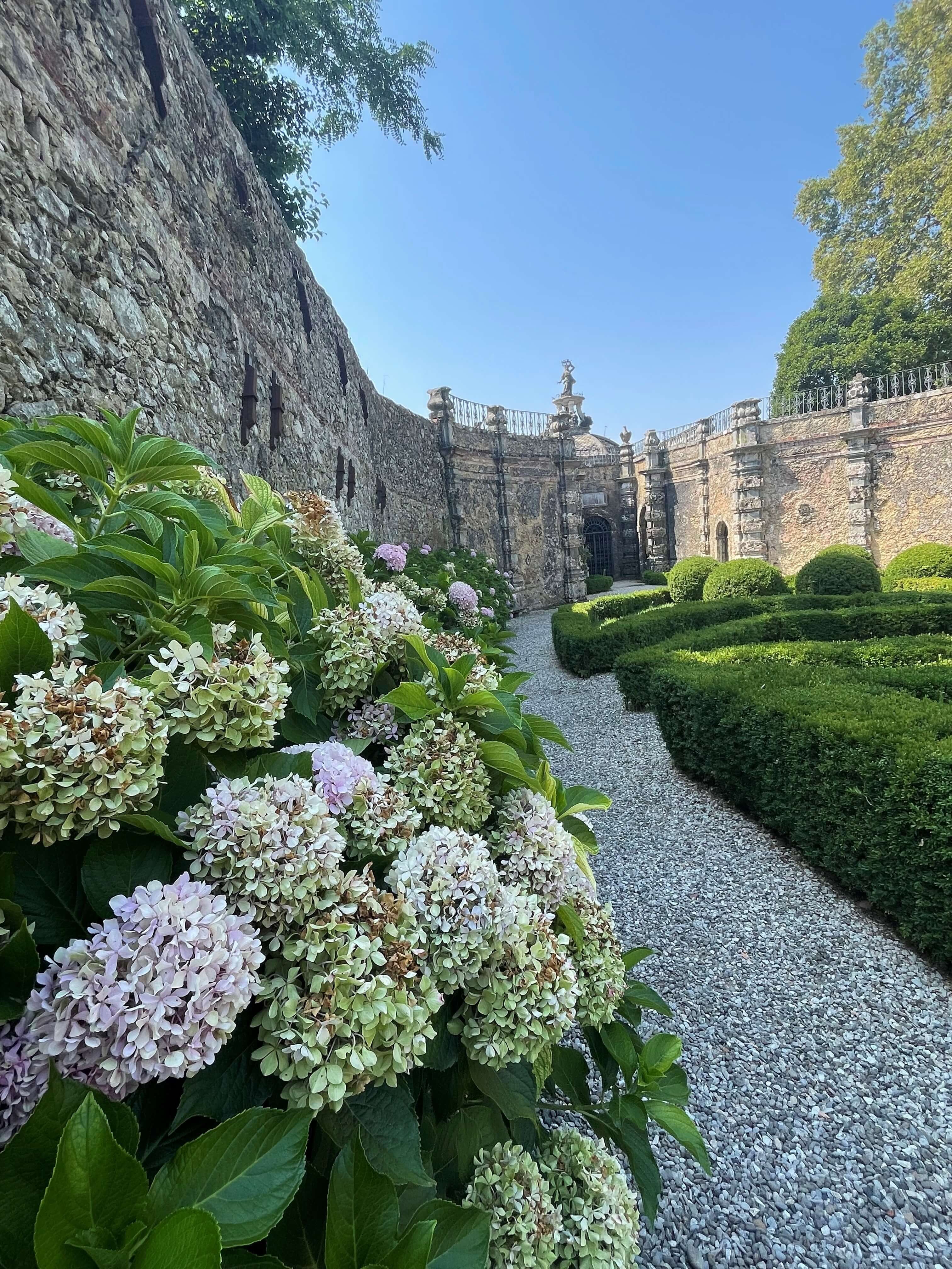 garden of villa