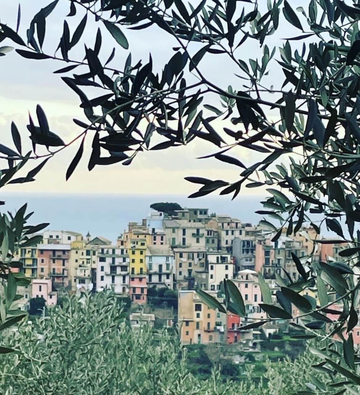 the sea in cinque terre